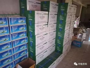 白生生棉花脫葉劑沙灣金溝河鎮(zhèn)總經(jīng)銷(xiāo) 專(zhuān)業(yè)產(chǎn)品技術(shù)咨詢(xún)服務(wù)