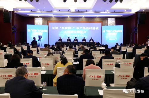 全省互聯網農產品出村進城工程建設推進會在盱眙召開，共筑農產品電商發展新藍圖